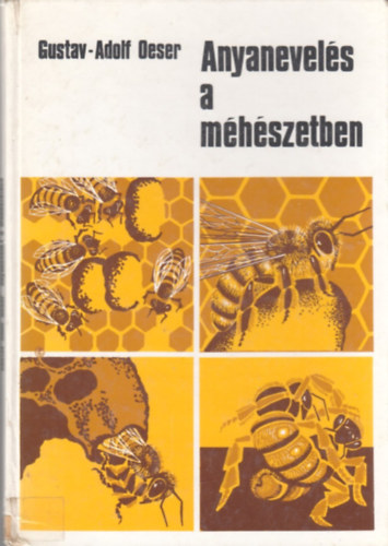 Anyanevel�s a m�h�szetben