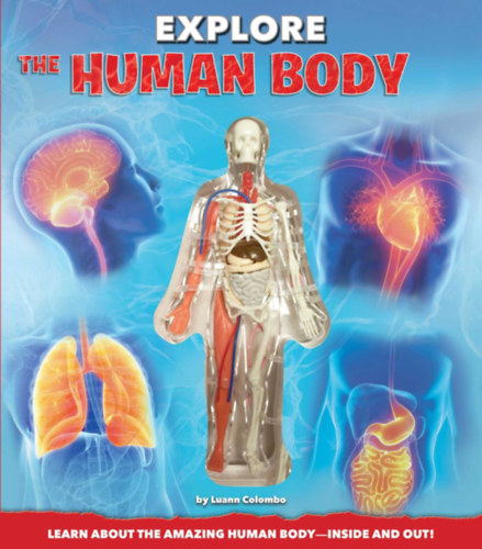 Colombo Luann - Explore the Human Body