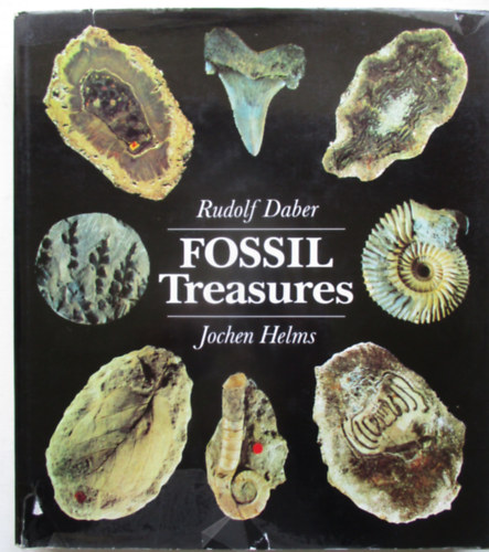 Fossil Treasures