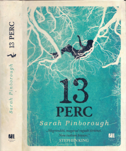 Sarah Pinborough - 13 perc