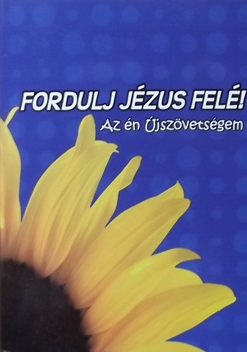 Fordtotta: Kroli Gspr - Fordulj Jzus fel! - Az n jszvetsgem