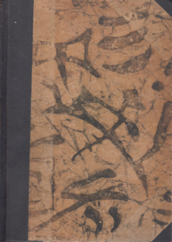 Dr. Med. Klemperer György - A klinikai diagnosztika alapvonalai