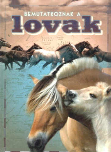 Bemutatkoznak a lovak