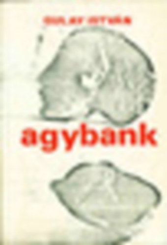 Gulay Istvn - Agybank