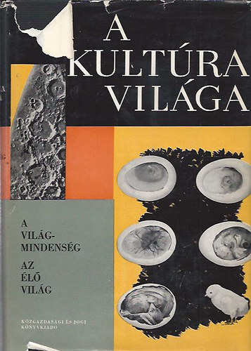 A kultra vilga - A Vilgmindensg - az l vilg