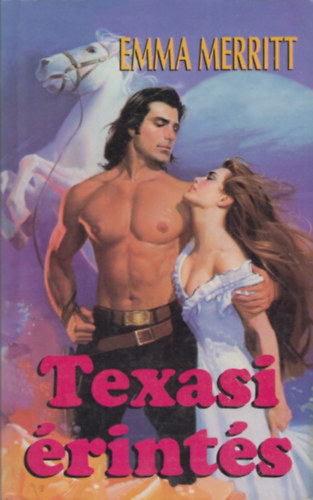 Texasi rints