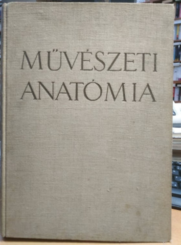 Mvszeti anatmia