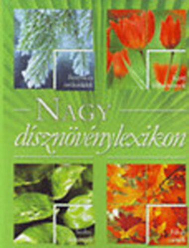 Nagy dsznvnylexikon