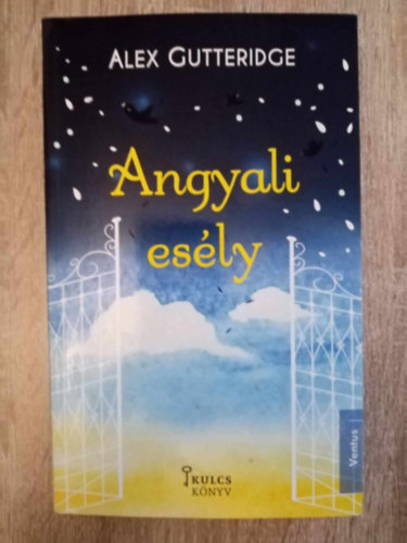 Angyali esly (Last Chance Angel) - Nmeth Dorottya fordtsban