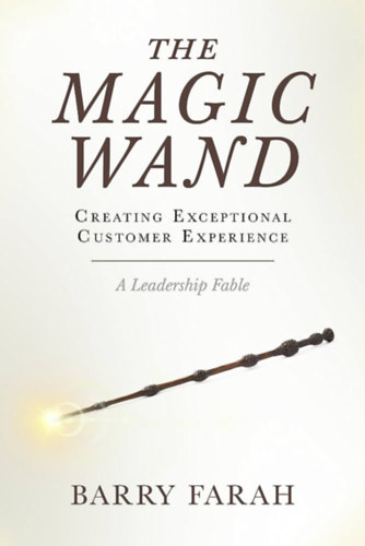 The Magic Wand: Creating Exceptional Customer Experience