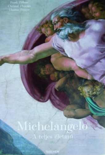 Michelangelo - A teljes letm