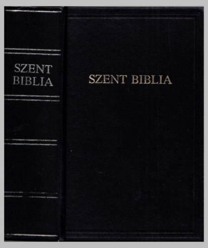 Szent Biblia azaz: Istennek  s j testamentomban foglaltatott egsz Szent rs