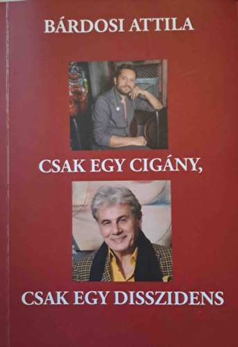 Csak egy cig�ny, csak egy disszidens