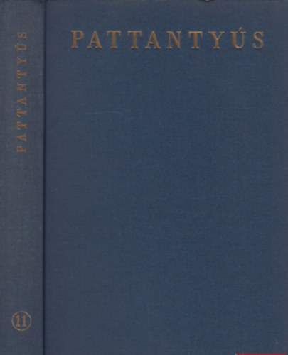 Pattantys-Gpsz-s villamosmrnkk kziknyve 11