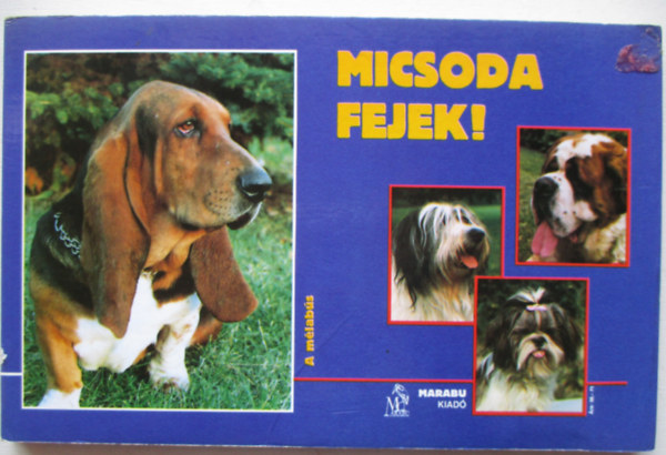 Micsoda fejek!