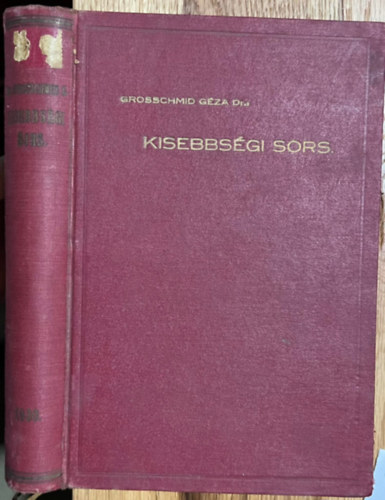 Kisebbsgi sors