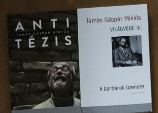 2db Tam�s G�sp�r Mikl�s m� - Antit�zis, Vil�gv�ge III.