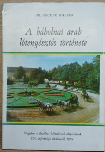 A b�bolnai arab l�teny�szt�s t�rt�nete