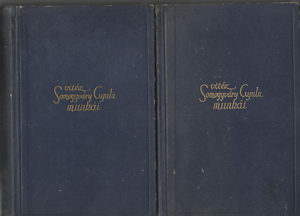 Vit�z Somogyv�ry Gyula - �s Mih�ly harcolt... I-II.