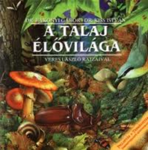 A talaj lvilga