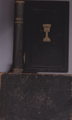 Kznsges isteni tiszteletre rendelt nekes-knyv mely Szent Dvid...