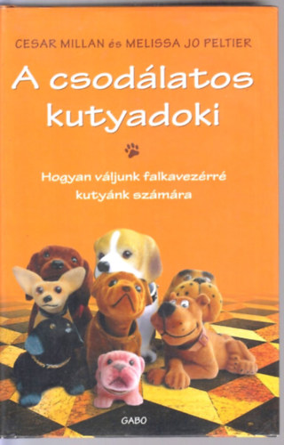 A csodlatos kutyadoki