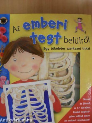 Az emberi test bellrl EGY TKLETES SZERKEZET TITKAI -  17 darabos kirak mellklettel.