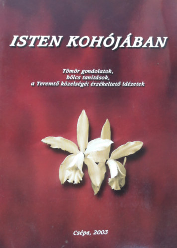 Isten kohjban