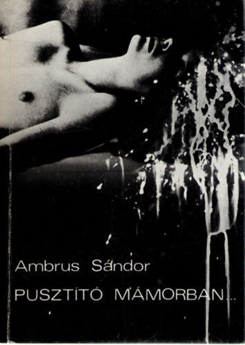 Ambrus S�ndor - Puszt�t� m�morban