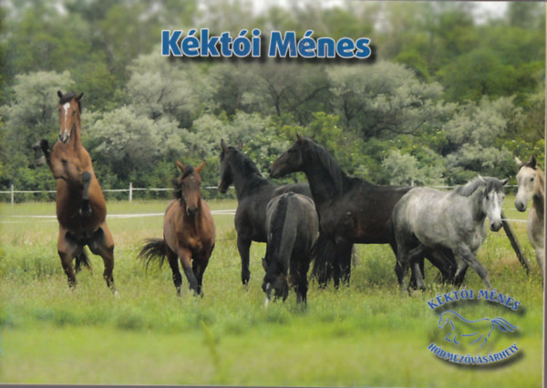 Kkti Mnes 2006