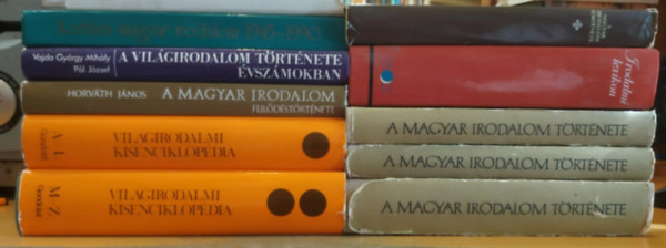 11 db A magyar irodalom trtnete I-III. (1849-ig, 1849-1905, 1905-tl napjainkig); Irodalmi lexikon; A magyar irodalom trtnete (Kossuth); Kortrs magyar irodalom 1946-1990; A vilgirodalom trtnete vszmokban; A magyar irodalom kpes