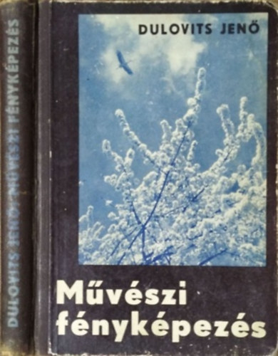 Mvszi fnykpezs