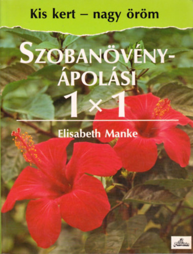 Szobanvnypolsi 11