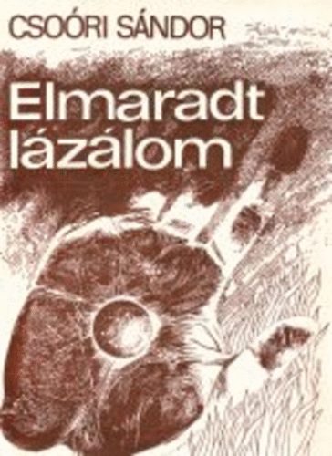 Csori Sndor - Elmaradt lzlom