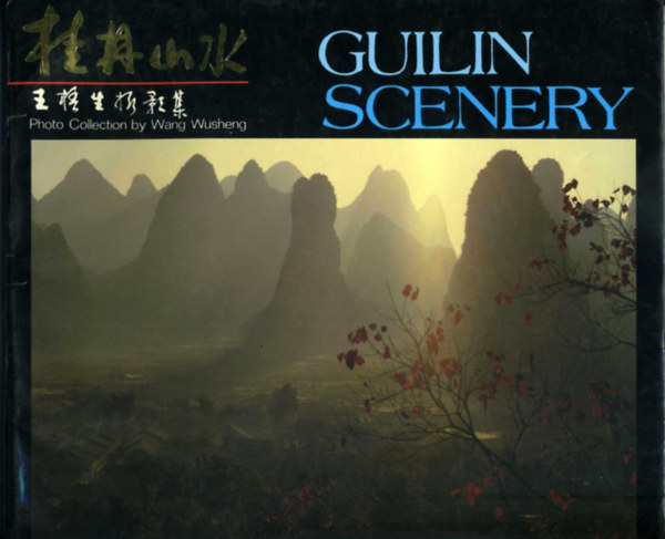 Wang Wusheng - Guilin Scenery