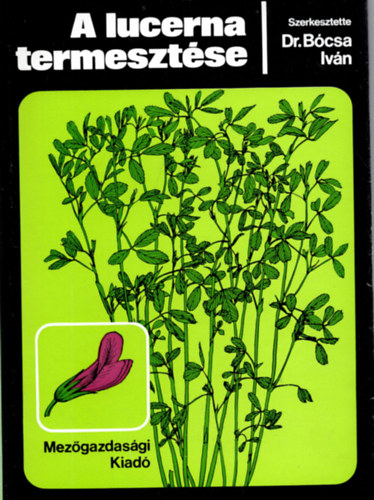 A lucerna termeszt�se