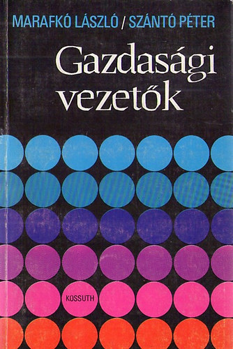 Gazdasgi vezetk