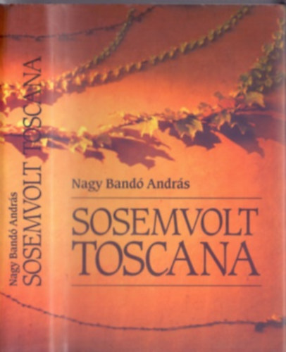 Sosemvolt Toscana (Dediklt)