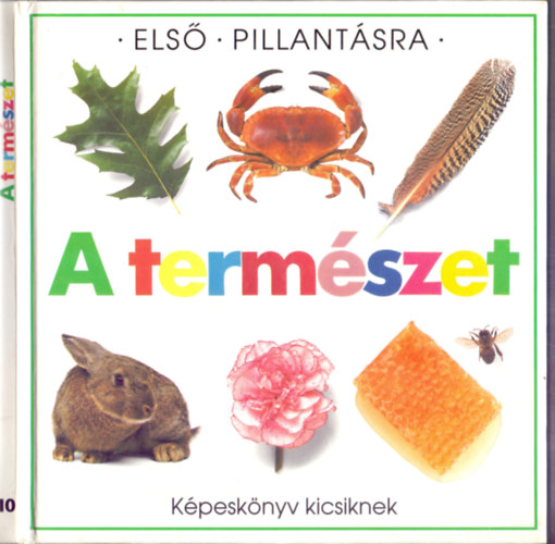 A termszet - Kpesknyv kicsiknek (Els pillantsra)