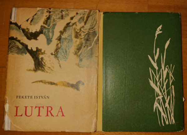 2 ifjsgi regny Fekete Istvntl: Lutra, Tskevr