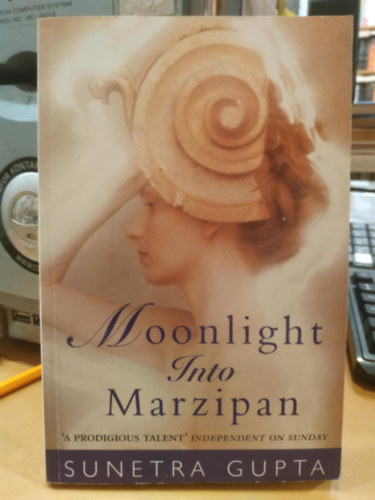 Moonlight into Marzipan