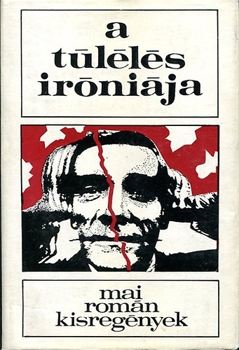 A t�l�l�s ir�ni�ja (mai rom�n kisreg�nyek)