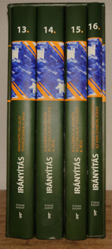 Irnyts 13-16.13.  Innovatv vllalat tervezsnek alapjai, 14. A globlis alapon ll vllalat tervezse/A, A globlis alapon ll vllalat tervezse/B, Projektek megvalstsa az ipari gyakorlatban