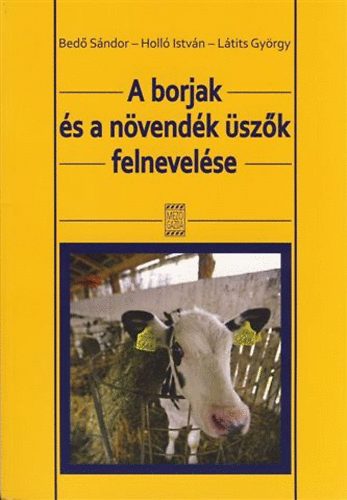 A borjak s a nvendk szk felnevelse