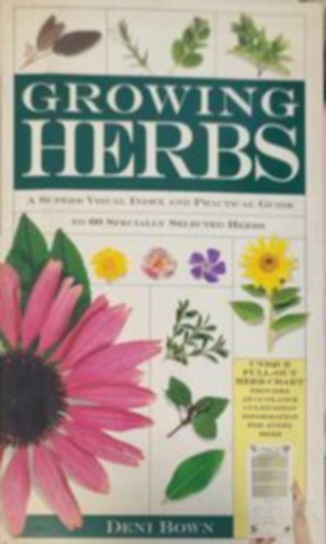 Growing herbs (Gygynvnyek termesztse -Angol nyelv)