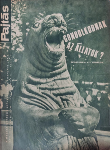 Pajts XXII. vfolyam 46. szm (1967)