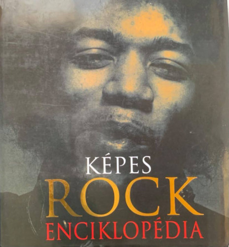 Virgin Kpes rock enciklopdia