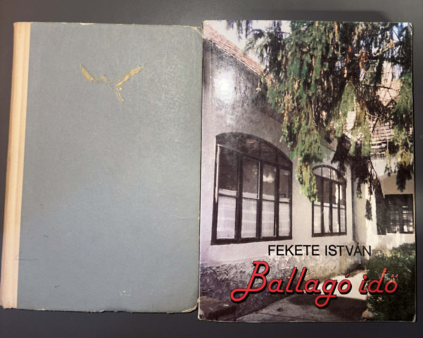 2 db. ifj�s�gi reg�ny (Kele + Ballag� id�)