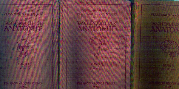 Taschenbuch der Anatomie I-III.