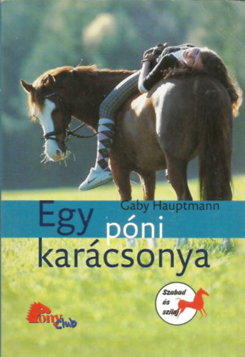 Egy pni karcsonya (PonyClub)